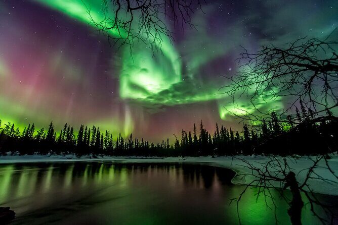 Northern Lights Hunt Including Snacks on Campfire from Rovaniemi - Why a lakeside camp beats chasing lights alone
