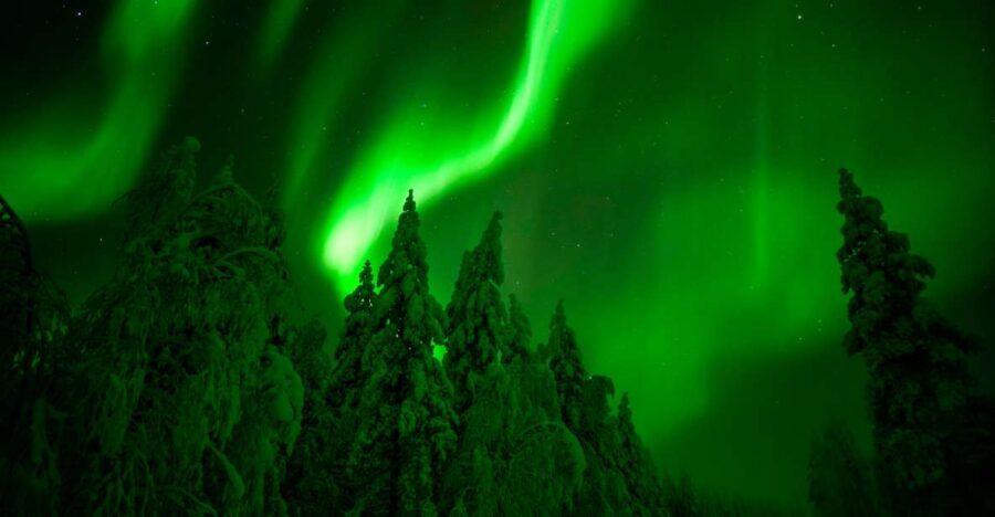 Northern Lights Hunting Adventure in Lapland - The Night Plan: Forecast Checks, Long Drives, and Several Stop Attempts