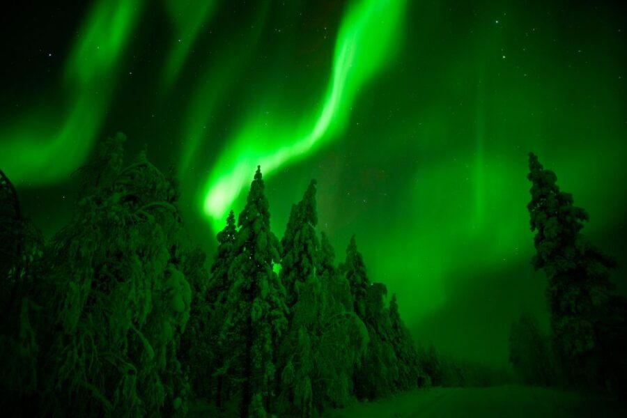 Northern Lights Hunting Adventure in Lapland - Price and Value: What You’re Paying For (and What You’re Not)