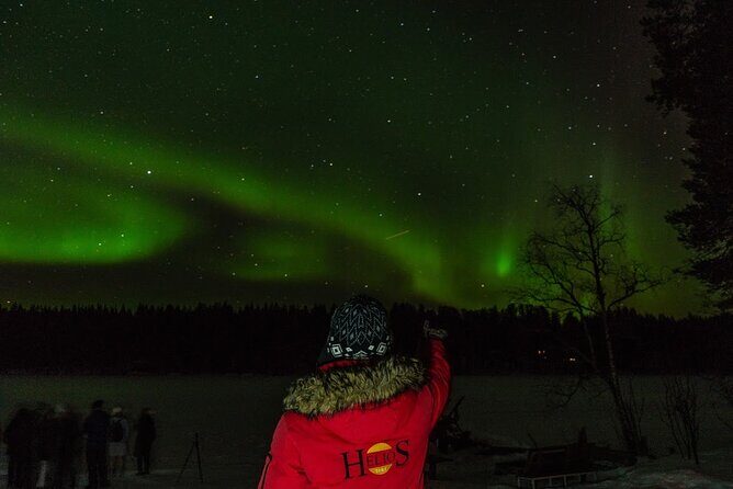 Northern Lights Hunting in Lappish old cottage - Pickup Timing in Rovaniemi: Know When You’ll Be Headed Out