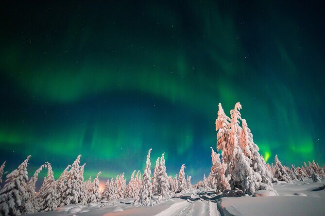 Northern Lights Hunting of Rovaniemi - The northern lights part: what you should expect (and what you can’t control)