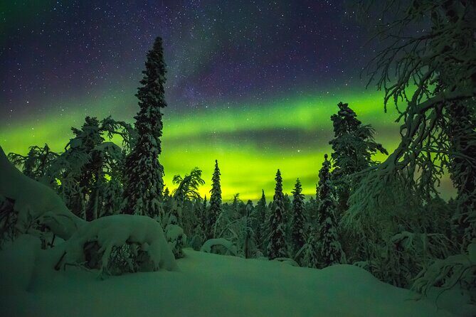 Northern Lights Hunting of Rovaniemi - Price and value: why $89-ish can make sense here