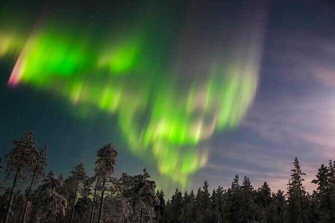 Northern Lights Hunting Photo Tour in Levi - Levi northern lights in 4 hours: what the evening feels like