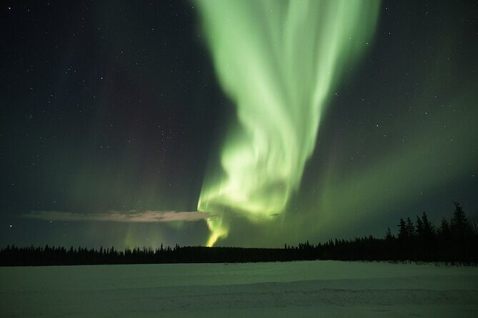 Northern Lights Hunting Photo Tour in Levi - Who this tour fits best in Levi