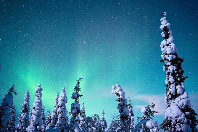 Northern Lights Hunting Photography Tour in Levi - From briefing to private stops: what the evening feels like