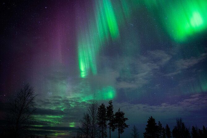 Northern Lights Hunting Photography Tour in Levi - Lapland’s aurora hunting with photographer support