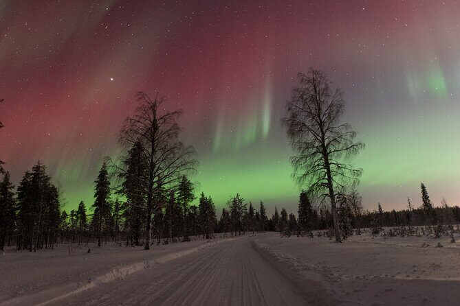 Northern Lights Hunting with a photographer (Only small groups) - How the aurora hunt stays flexible in real winter weather