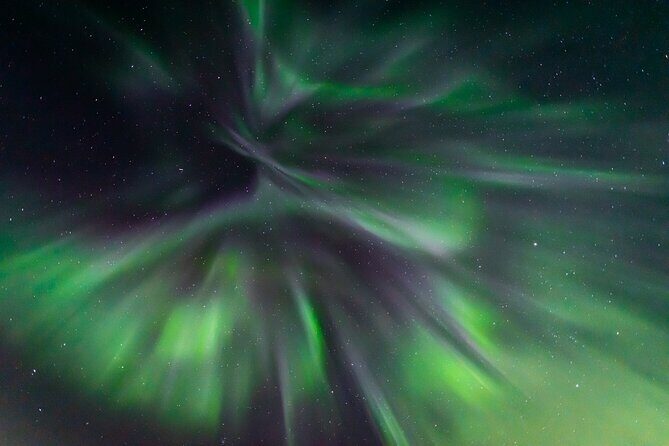Northern Lights Hunting with a photographer (Only small groups) - Price and value: what $223.57 really buys you