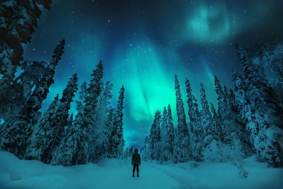Northern Lights Hunting with Aurora Workshop - Price and value: is $199 worth it in Lapland?
