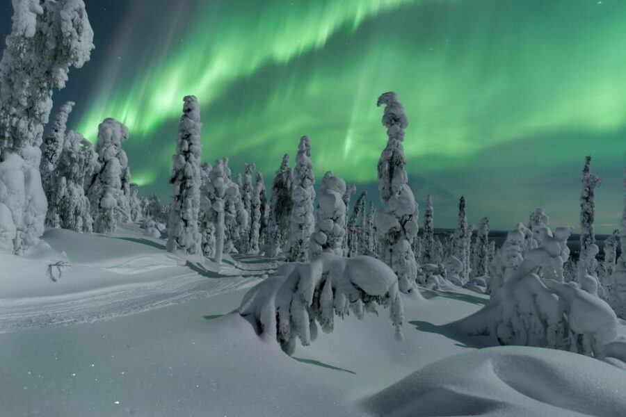 Northern Lights Hunting with Aurora Workshop - Forecasting and infrared headlamps: the hunt is managed, not guessed