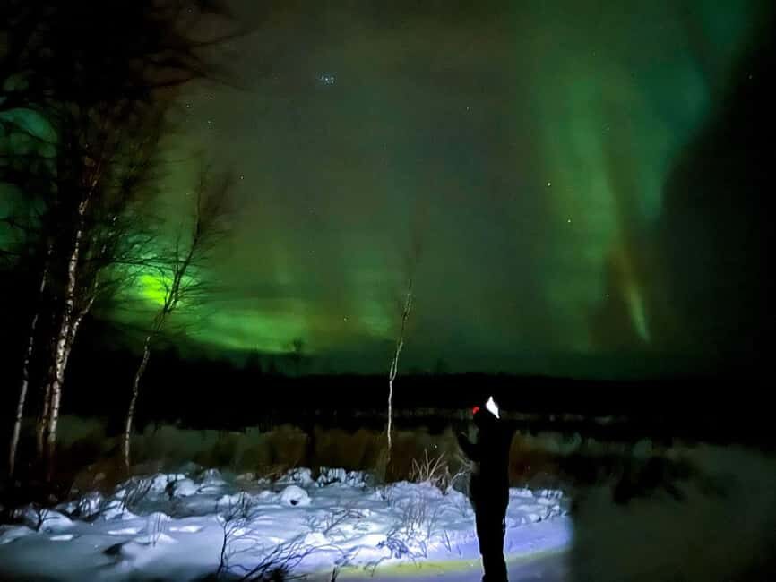 Northern lights private tour Rovaniemi - Key things I’d bet on