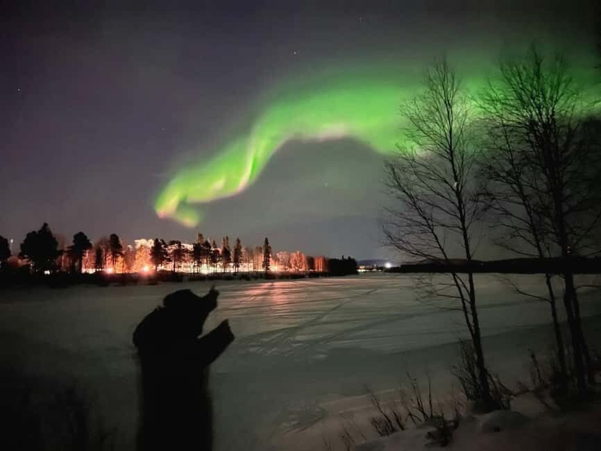 Northern lights private tour Rovaniemi - The 3-Hour Core Experience: Stops That Make the Night Feel Worth It