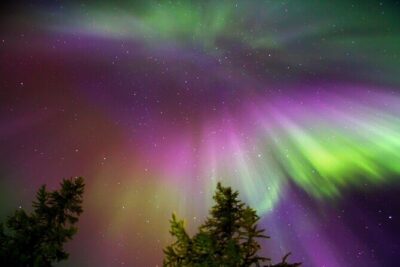 Northern Lights Reindeer Sledge Ride - Pickup in Rovaniemi: where you meet and how not to miss the start