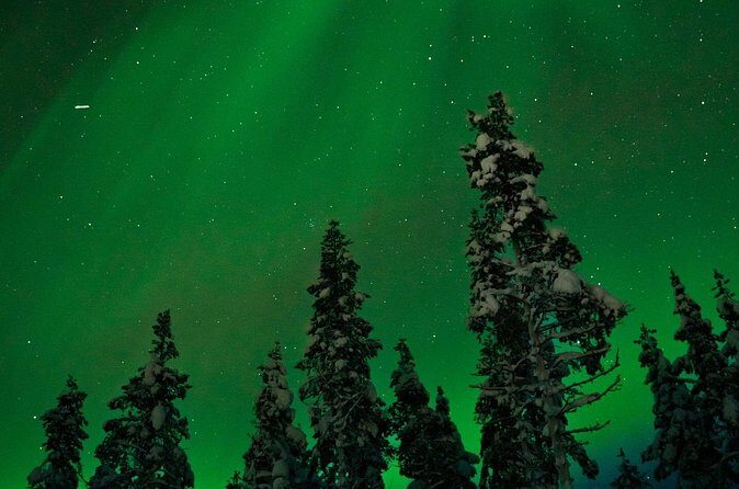 Northern Lights Reindeer Sledge Ride - Price and value: is $128 per person fair for a 3-hour night?