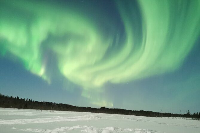 Northern Lights Sledge Ride - The $92.52 question: does this feel like good value?