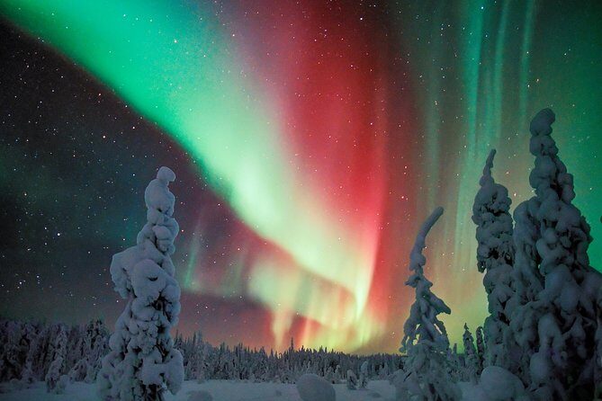 Northern Lights Snowmobile Driving Safari - Who should book this safari, and who might pass