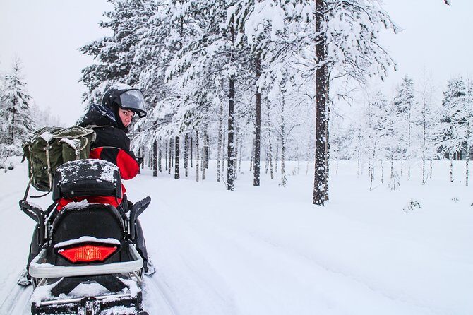 Northern Lights Snowmobile Driving Safari - Arctic night program: stories, stargazing, and the real aurora odds