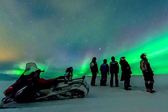 Northern Lights Snowmobile Safari from Rovaniemi with Campfire Picnic - Key things I’d watch for before you go