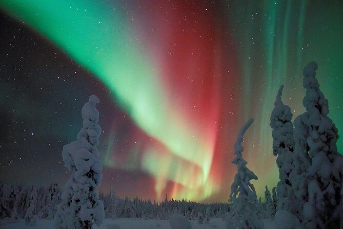 Northern Lights Snowmobile Safari from Rovaniemi with Campfire Picnic - Price and value: does $239.62 feel fair?
