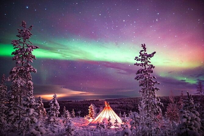 Northern Lights Snowmobile Sledge Ride in Rovaniemi - Who this tour suits best (and who should skip it)