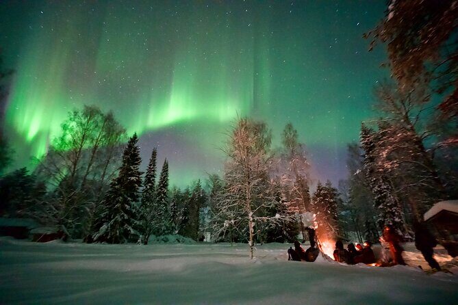 Northern Lights Tour in Atmospheric Cottage - Key things to know before you go