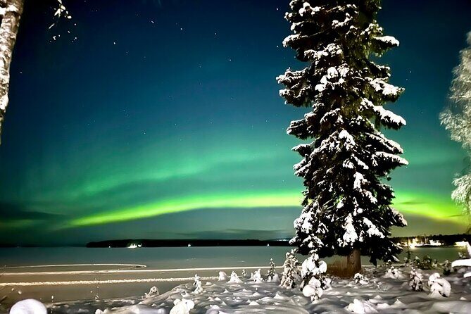 Northern Lights Tour Snowmobile Driving - Key points to know before you go