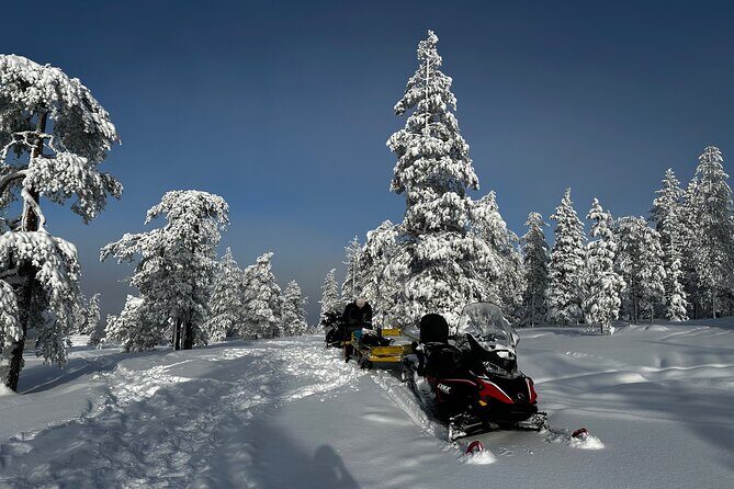 Northern Lights Tour Snowmobile Driving - The Ride Schedule: Pickup, Transfer, and Lakeside Timing