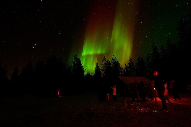 Northern Lights Trip to a Magical Place in Lapland - Price and value: is $119.09 worth it?