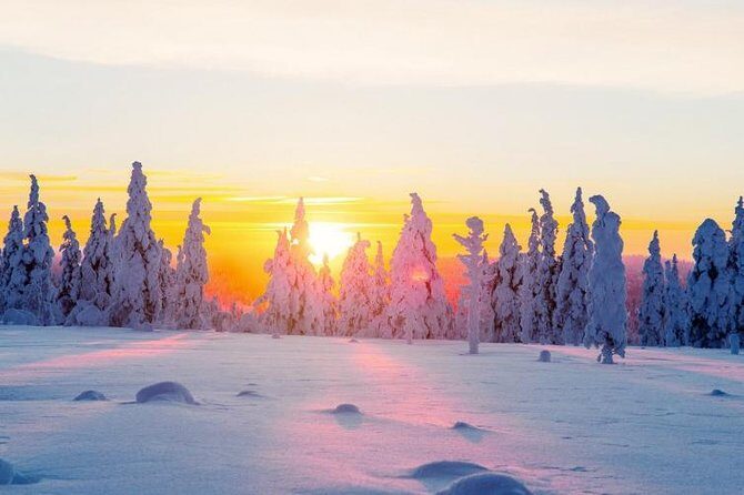 Ounasvaara and Ranua Zoo - Ranua Zoo With Included Admission: Arctic species in a natural-feeling park