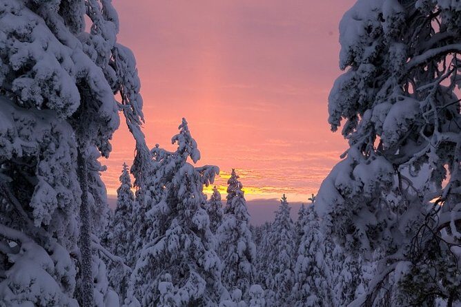 Ounasvaara and Ranua Zoo - The one thing to watch: transportation comfort