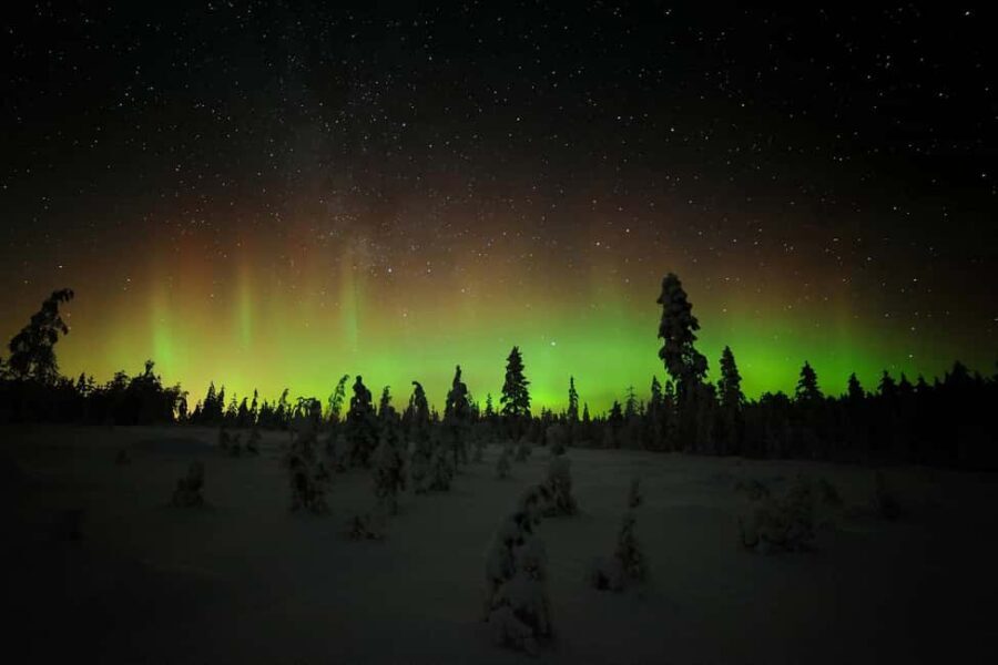 Polar Night Snowshoe Trek - Why polar night Lapland feels different at dusk