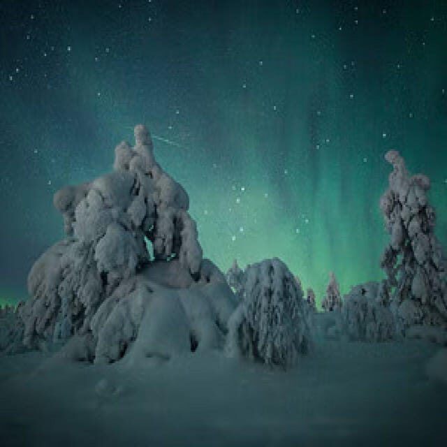 Polar Night Snowshoe Trek - Warm drinks, light snacks, and breaks that keep the evening enjoyable