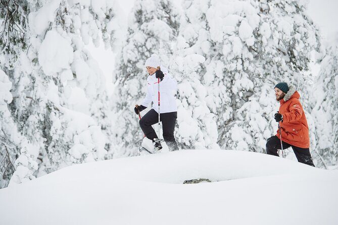Premium Snowshoeing in Pyhä-Luosto National Park - Key Points Before You Go