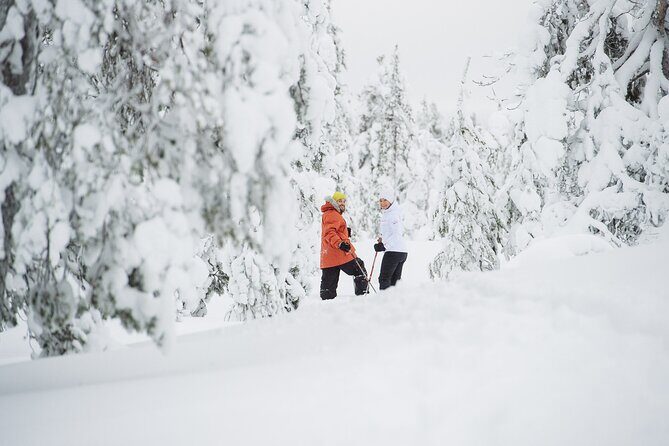 Premium Snowshoeing in Pyhä-Luosto National Park - Gear You Get vs. What You Must Bring