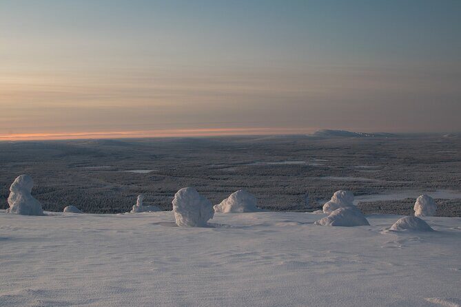 Premium Snowshoeing in Pyhä-Luosto National Park - Walking Down into Arctic Taiga: The Part That Makes It Feel Immersive