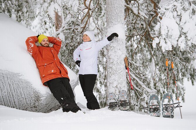 Premium Snowshoeing in Pyhä-Luosto National Park - Photography Notes: Snow Monsters, Halos, and Winter Texture