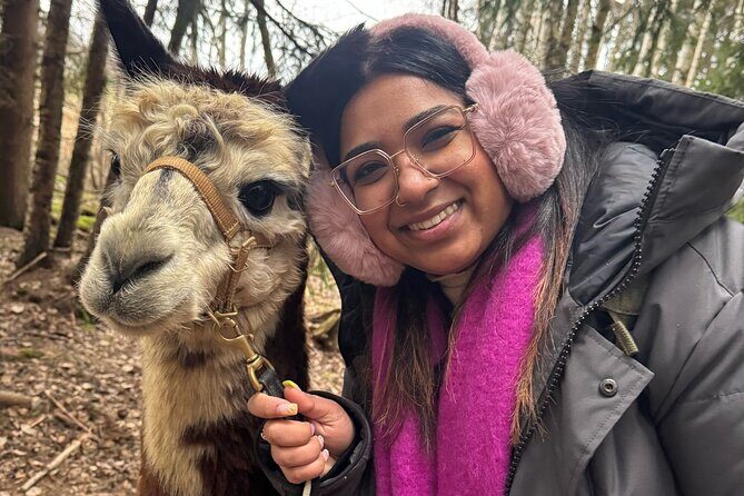 PRIVATE Alpaca Guided Forest Walk + Feeding Helsinki - Who should book this (and who should skip it)