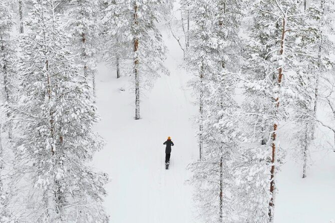 Private Driving Snow Scooters Experience in Finland - What you actually ride: 2–6 km through forest and, sometimes, lake ice