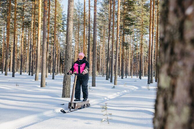 Private Driving Snow Scooters Experience in Finland - Guide Arto’s role: safety, pace, and local stories
