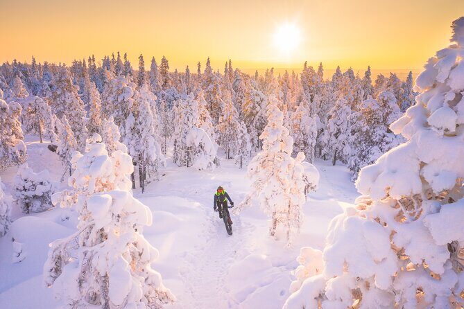Private Electric Fat Bike Winter Tour in Rovaniemi - Entering Hostel Café Koti: warm drinks first, then winter riding