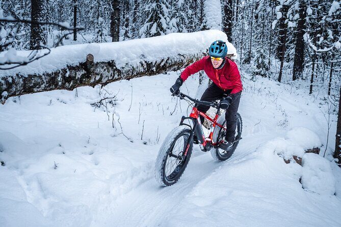 Private Electric Fat Bike Winter Tour in Rovaniemi - Lumberjack’s Candle Bridge stop: photos plus a real sense of place