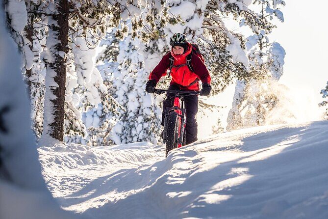 Private Electric Fat Bike Winter Tour in Rovaniemi - Guides and service: what good looks like here