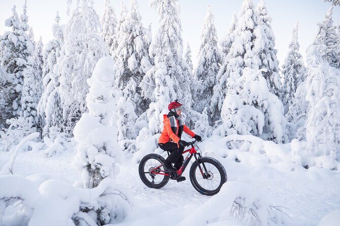 Private Electric Fat Bike Winter Tour in Rovaniemi - From city center to Kemijoki: a quick warm-up ride with big winter vibes