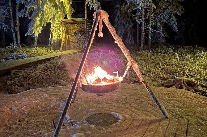 PRIVATE Glass Igloo Dinner Under Northern Lights - Key things to know before you go