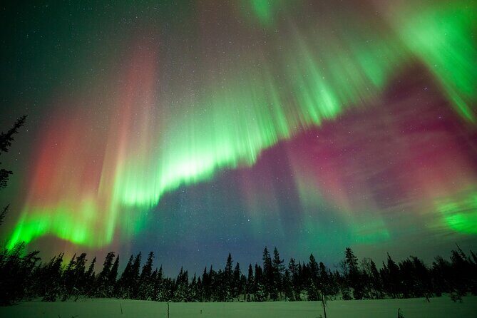 Private Group: Northern Lights Hunt 4x4 SUV with Aurora guarantee - Who should book this private Aurora hunt out of Levi?