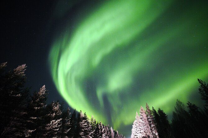 Private Group: Northern Lights Hunt 4x4 SUV with Aurora guarantee - Aurora guarantee in real conditions: the odds, the wait, and what you can control