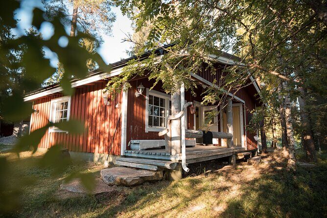 Private Lappish evening in the wilderness with traditional sauna and dinner - Arctic Lake Cold: How to Make the Ice Dip Feel Less Scary