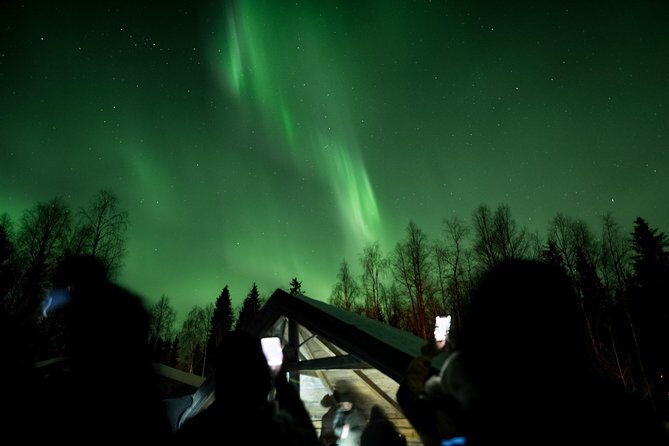 Private Northern Lights Hunting Expedition - Price and Value: $216.74 per Person for a Private Night