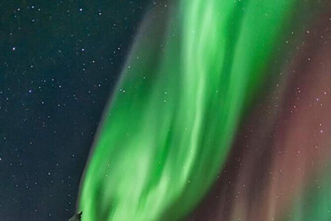 Private Northern Lights Hunting Tour Rovaniemi - The 9:00 PM Departure and What It Means for Your Odds