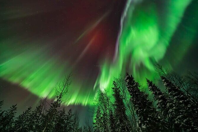 Private Northern Lights Hunting Tour Rovaniemi - What You’ll Do Outside the City (and Why It Feels Personal)